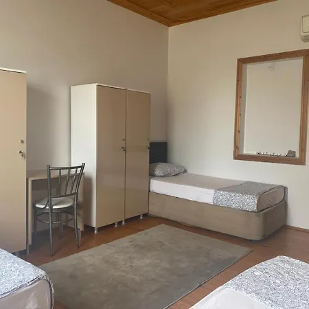 Guest house Petunya Wood House *