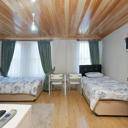Petunya Wood House * Istanbul